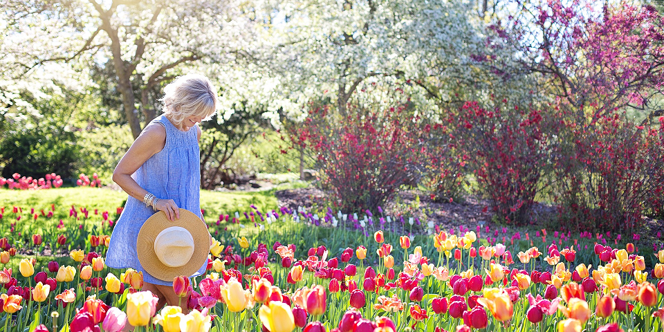 Woman enjoying garden of tulips on a sunny spring day